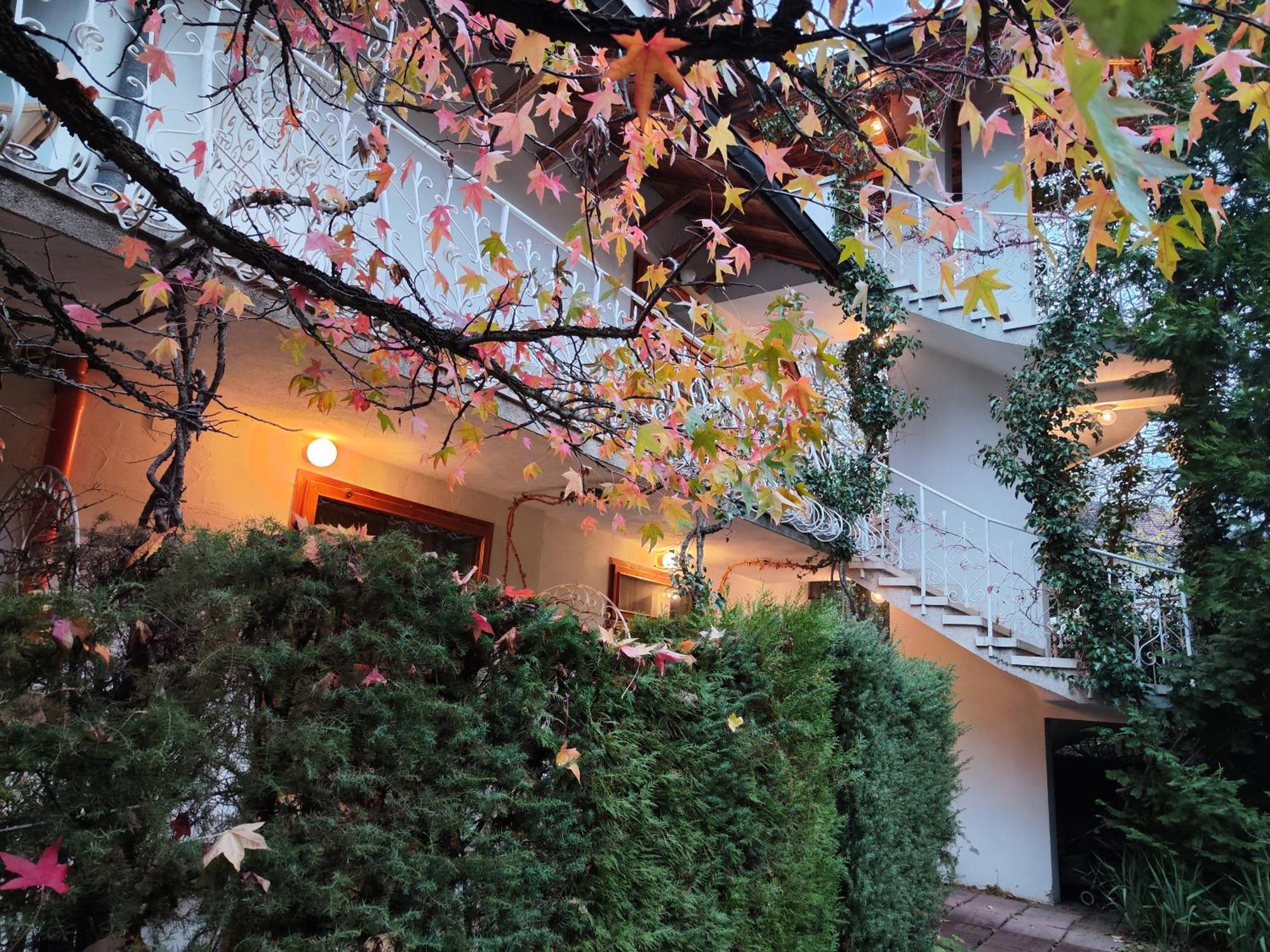 Park Hotel Amfora -Free Parking Sofia Exterior foto